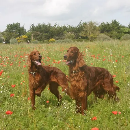 Bed and Breakfast Chez Jasmin
